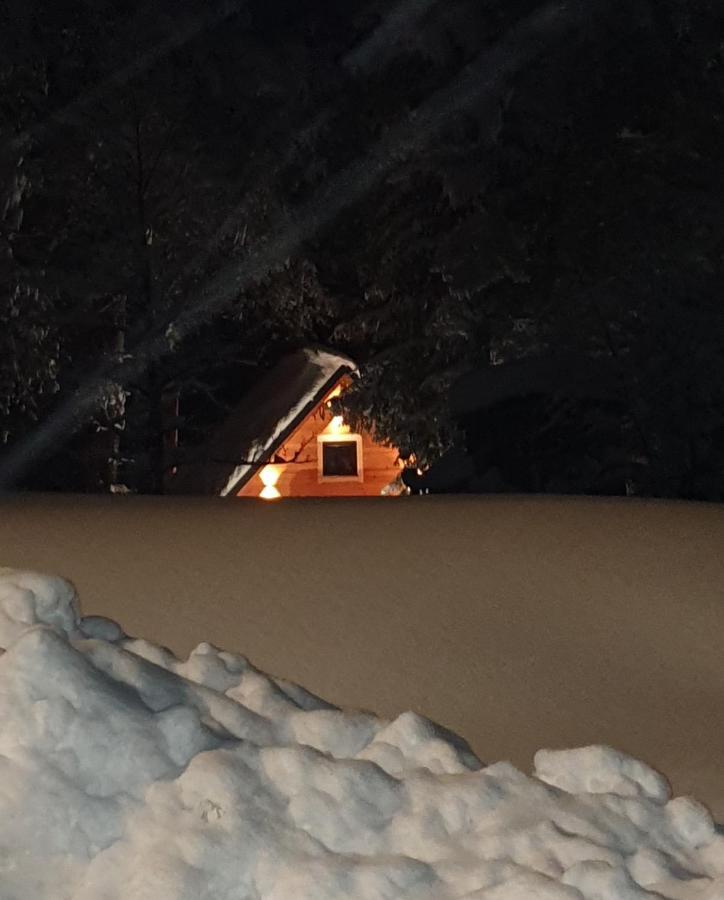 Vila Hisa Zimazakon Bloke Nova Vas  Exteriér fotografie